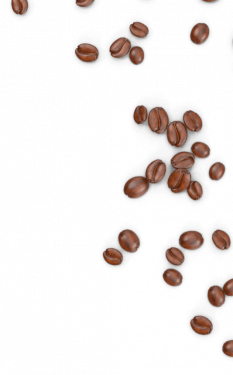 beans2-1